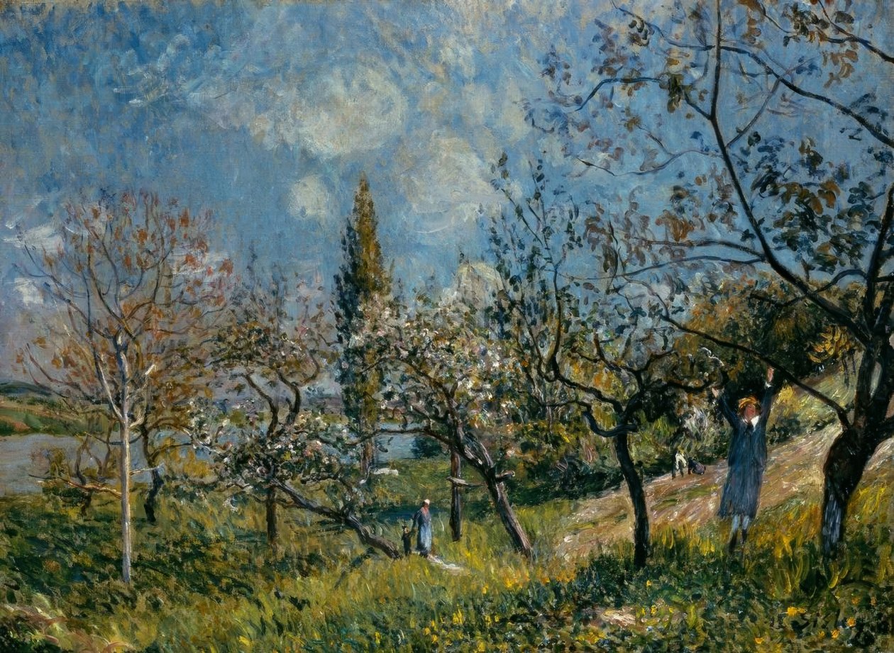 Frutteto in primavera da Alfred Sisley