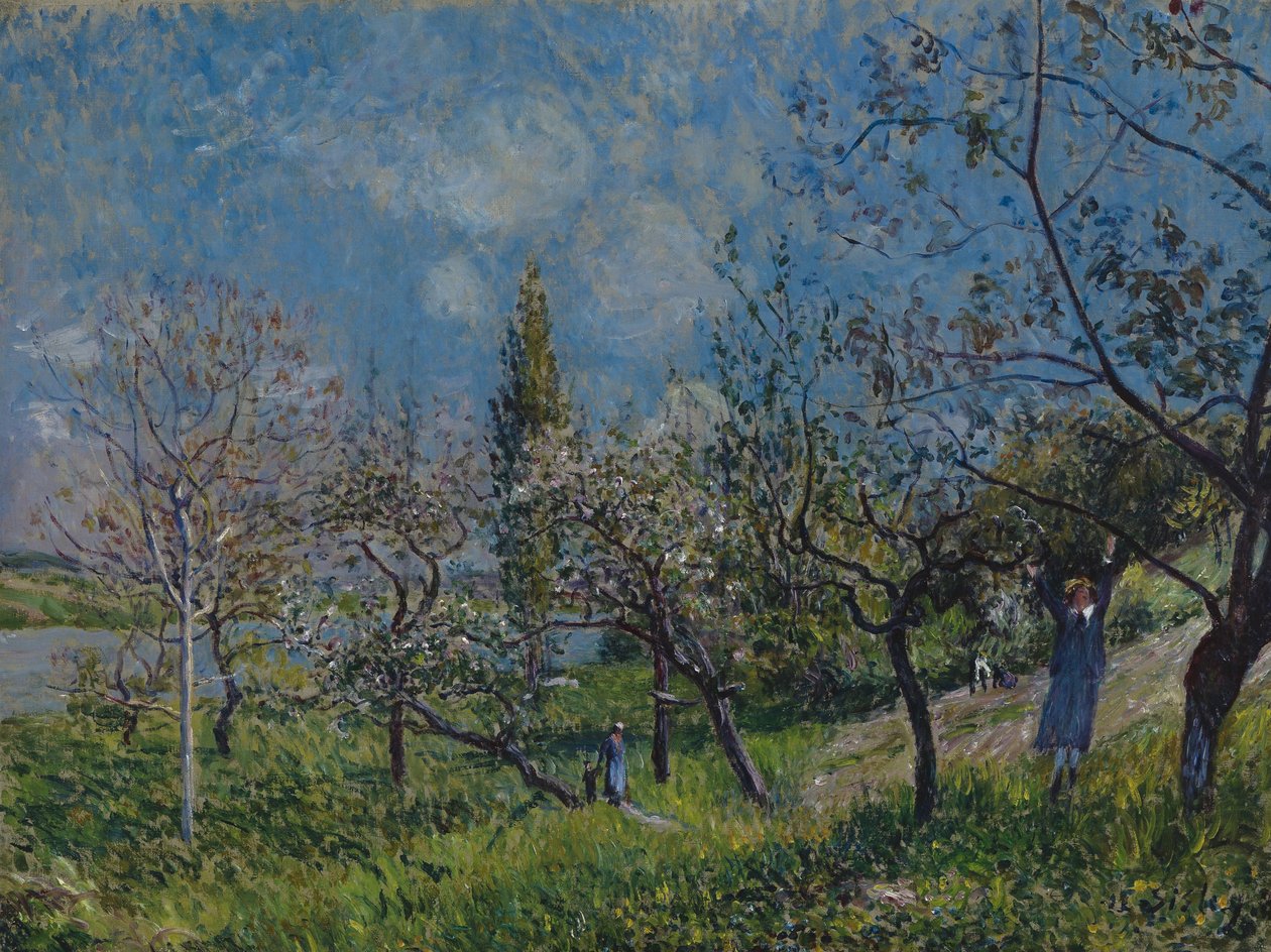 Frutteto in primavera da Alfred Sisley