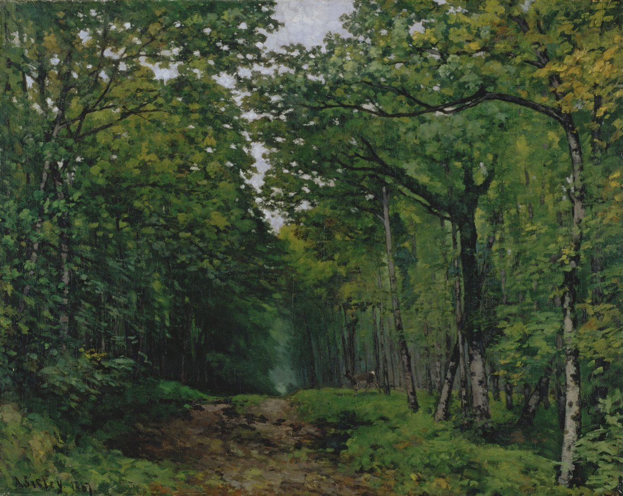 Il viale dei castagni a La Celle-Saint-Cloud, 1867 da Alfred Sisley