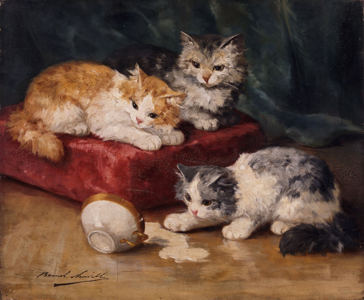 I gatti da Alfred Brunel de Neuville