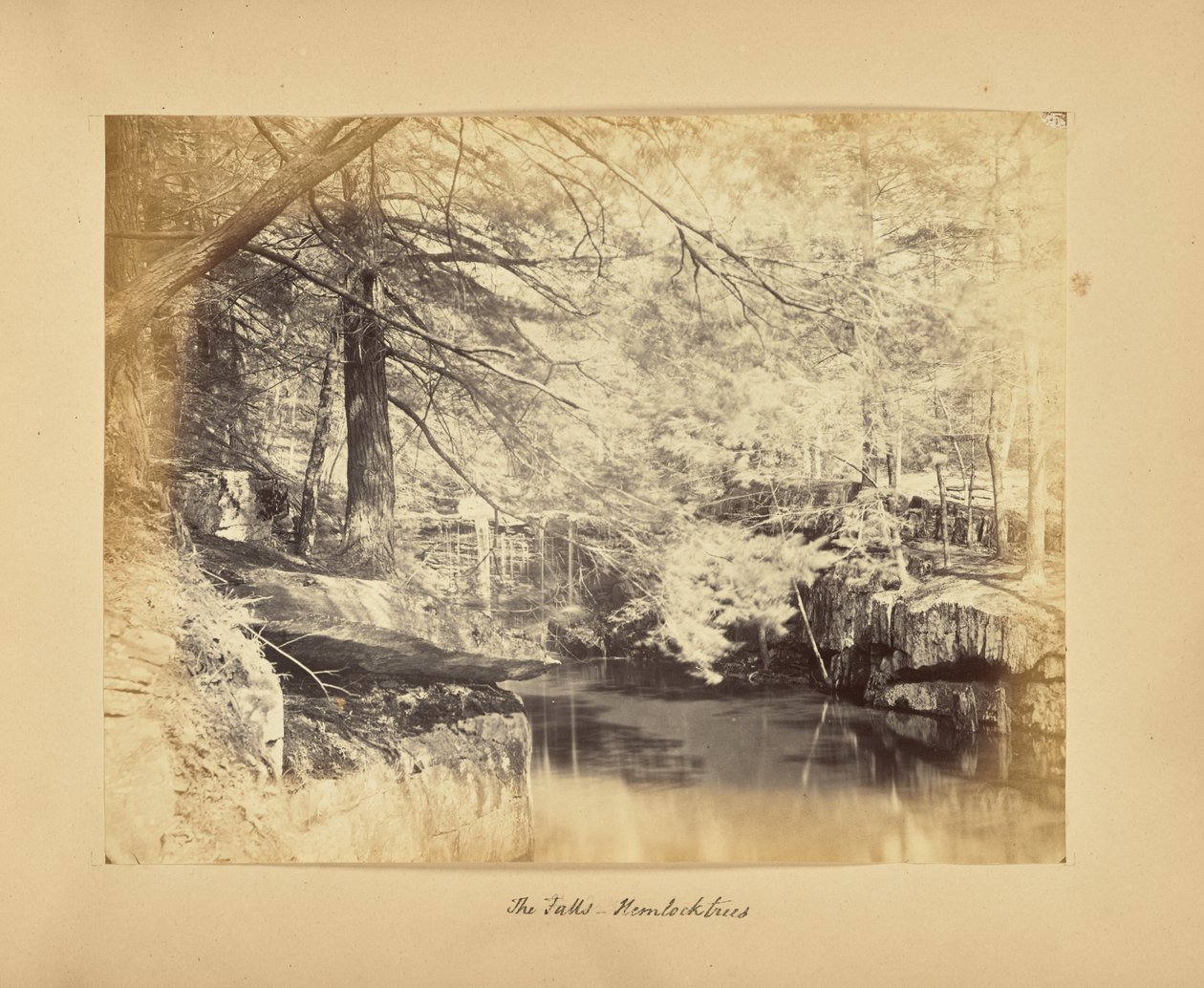 Le cascate - Alberi di cicuta da Alfred Booth
