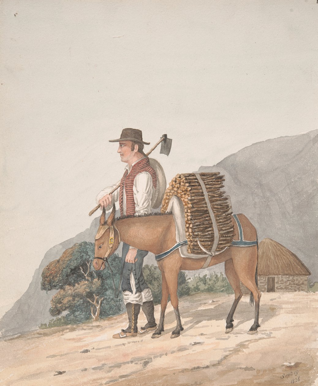 Venditore di legna da ardere, Tenerife da Alfred Diston