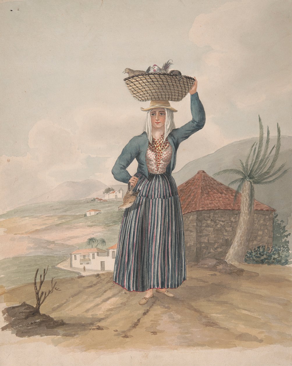 Donna di Victoria, Tenerife da Alfred Diston