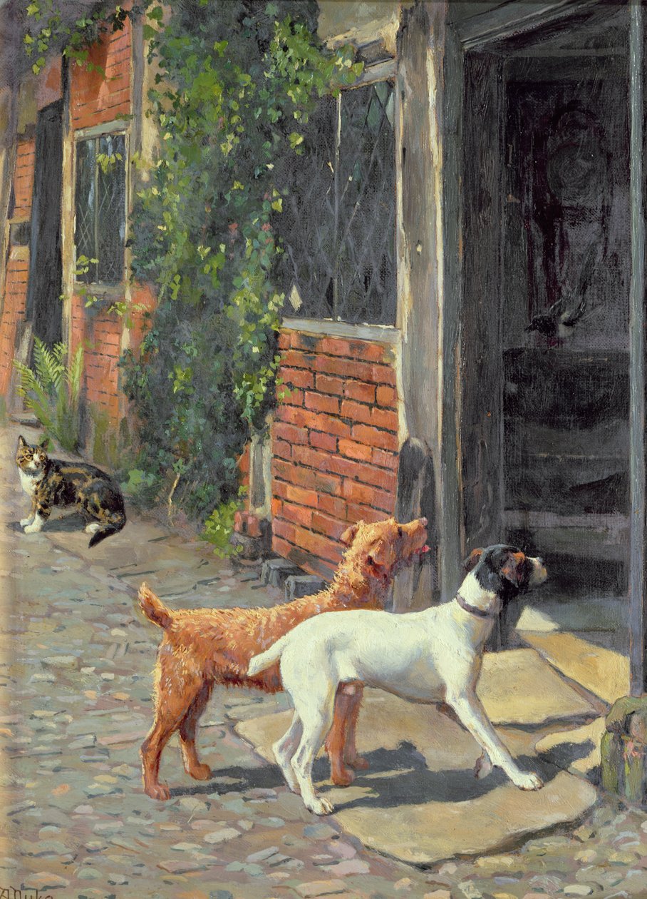 Esitazione da Alfred Duke