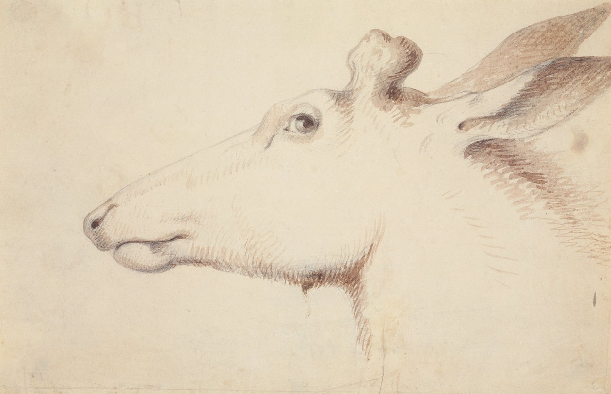 Alce, c.1837 da Alfred Jacob Miller