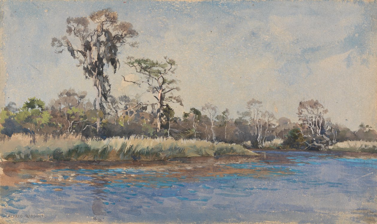 Un Torrente a Wilmington, N.C. da Alfred Parsons