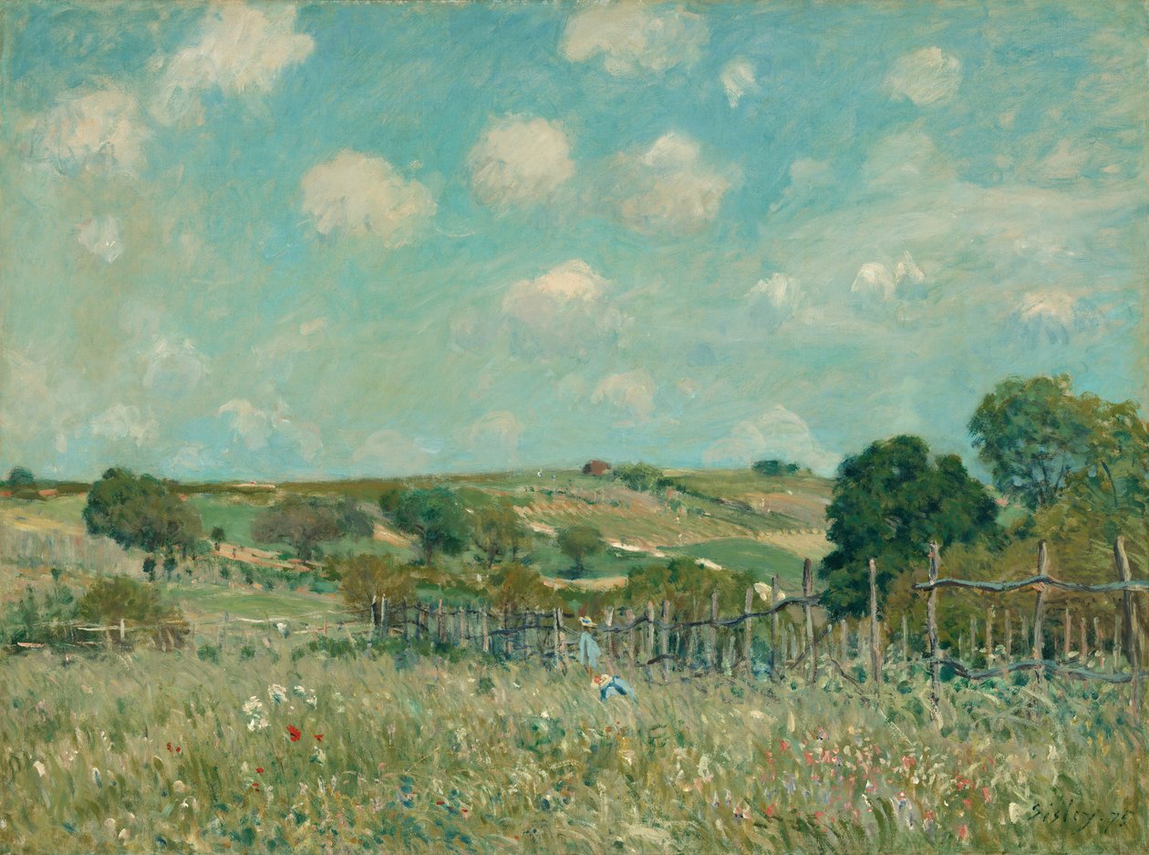 Prato da Alfred Sisley