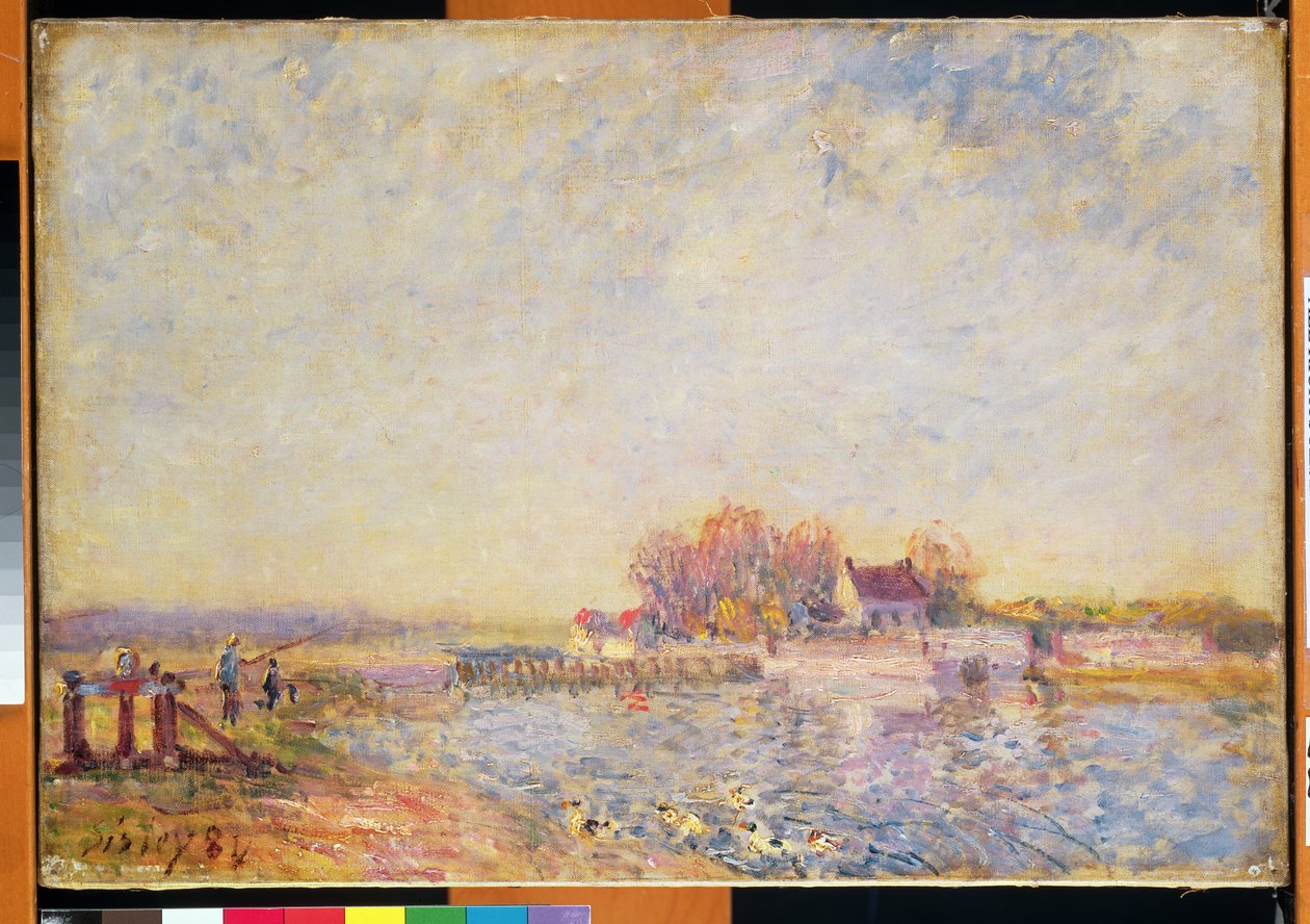 Scena fluviale con anatre, 1881 da Alfred Sisley