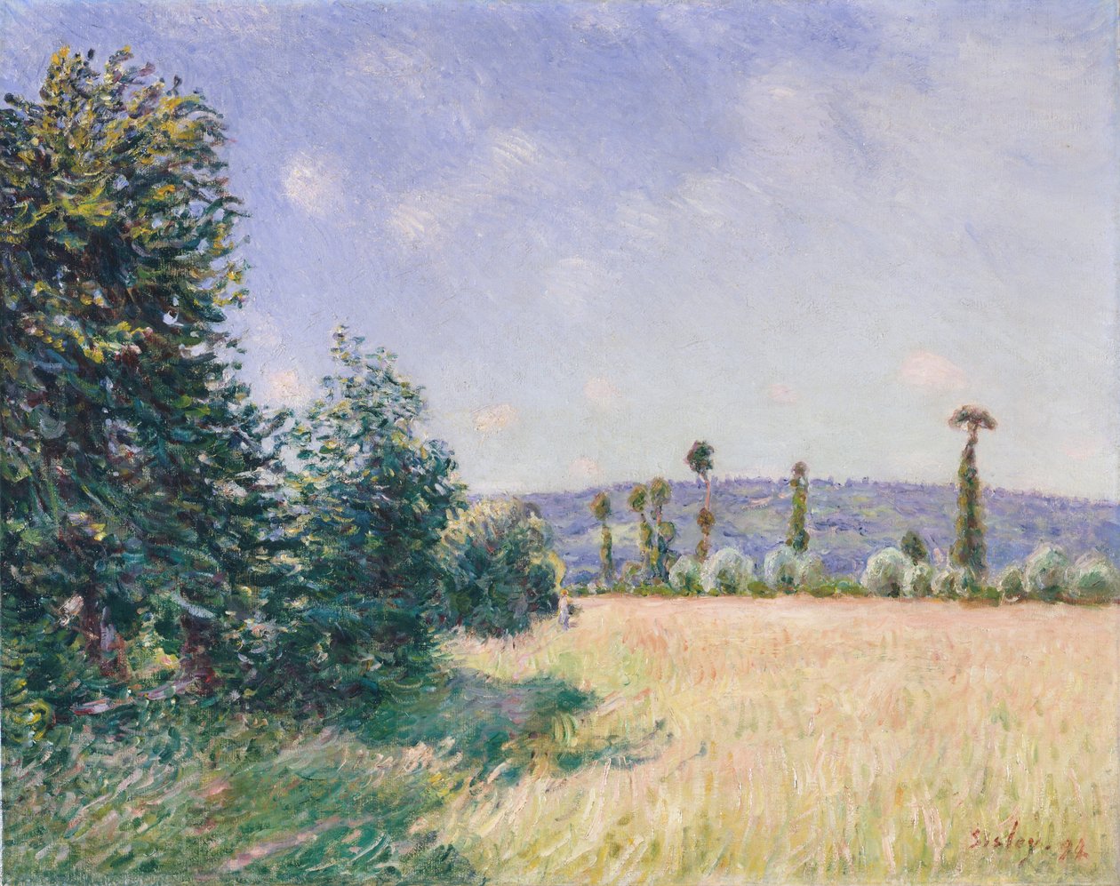 Prati di Sahurs al sole del mattino da Alfred Sisley