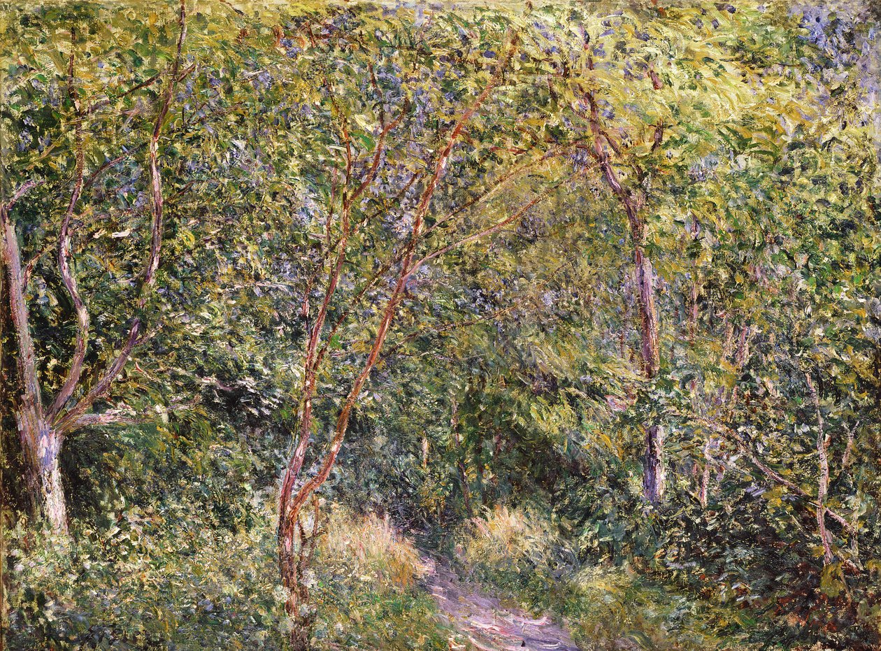 Immagine sconosciuta da Alfred Sisley