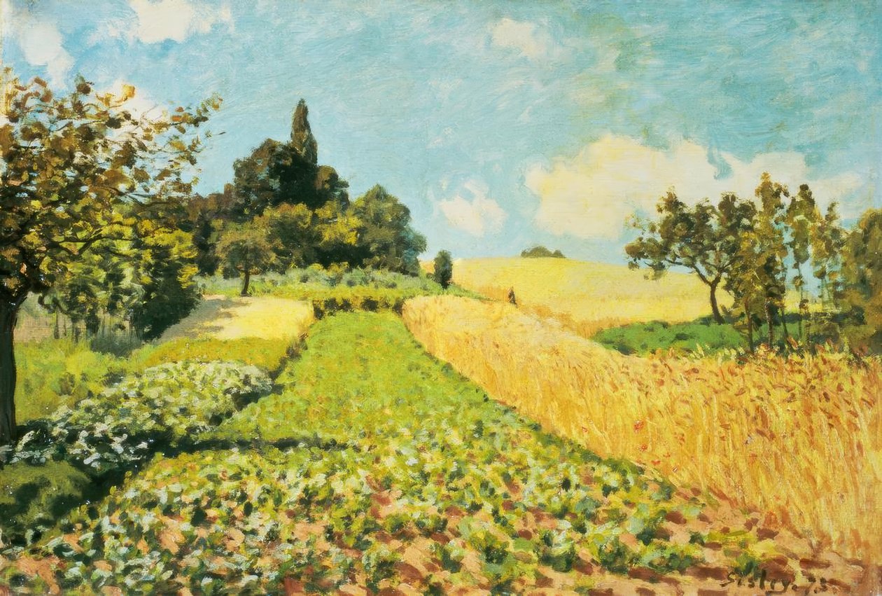 Campo di grano da Alfred Sisley