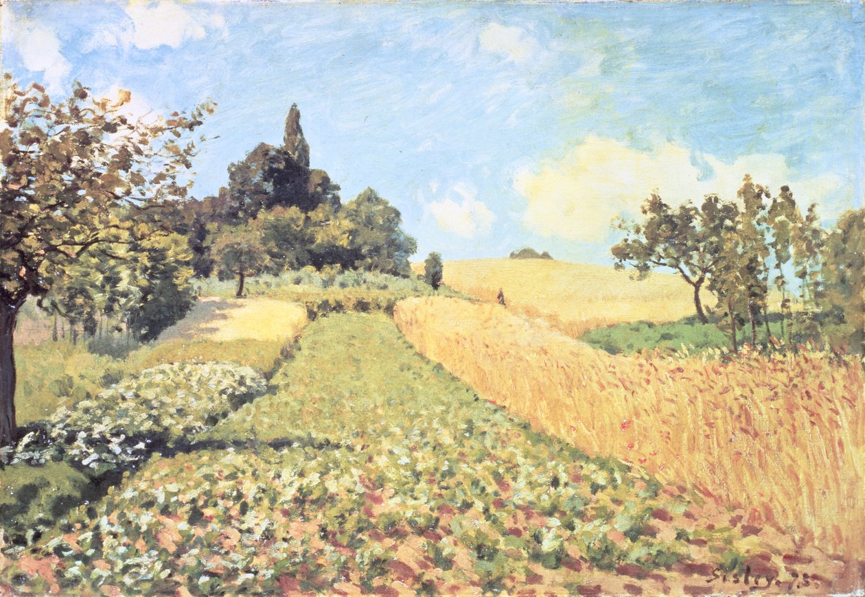 Campo di grano da Alfred Sisley