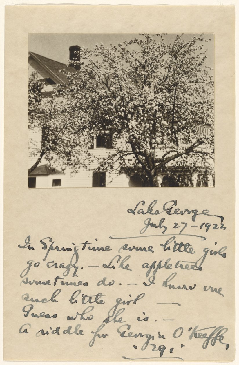 [Fiori di melo] da Alfred Stieglitz