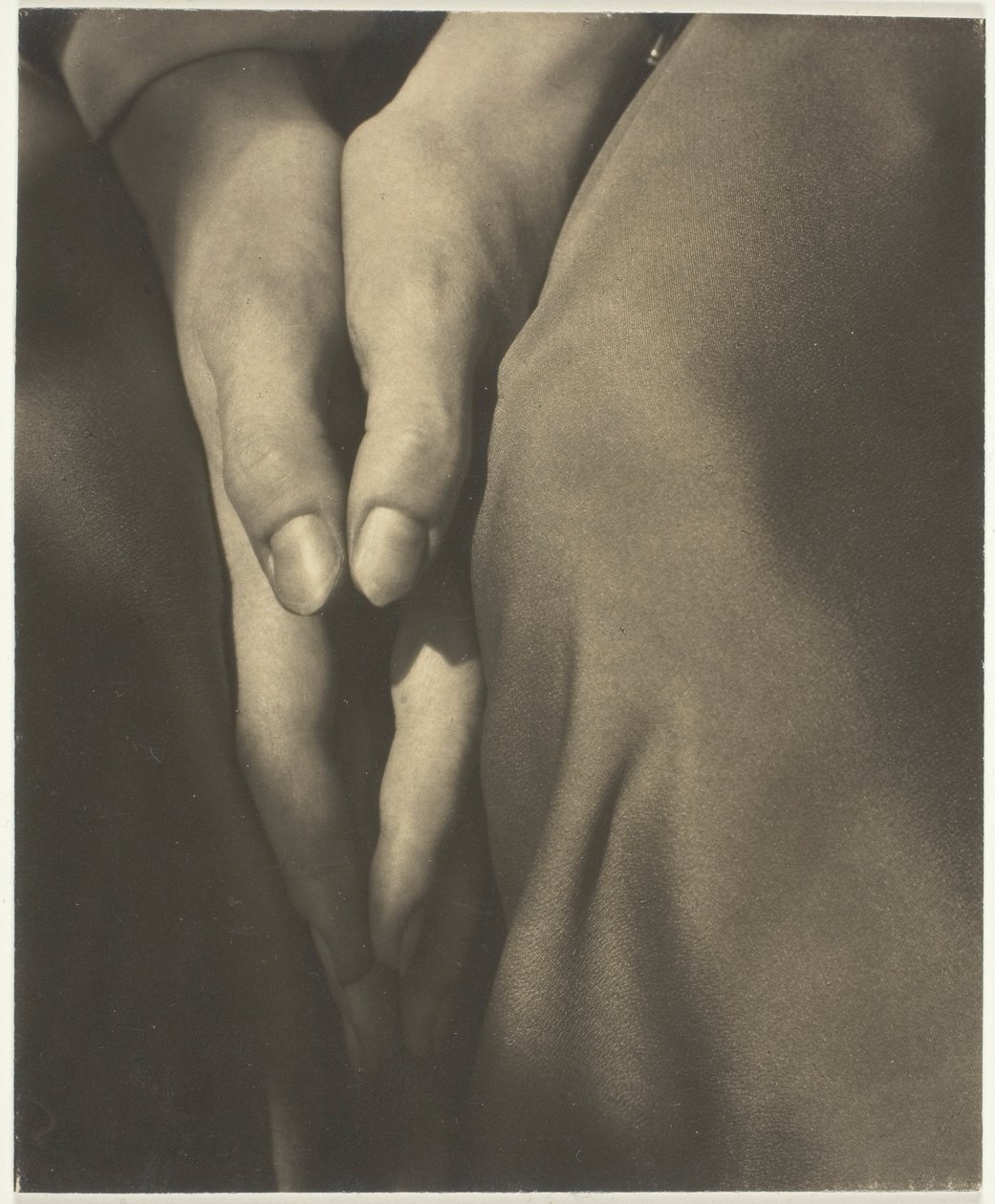 Dorothy Norman da Alfred Stieglitz