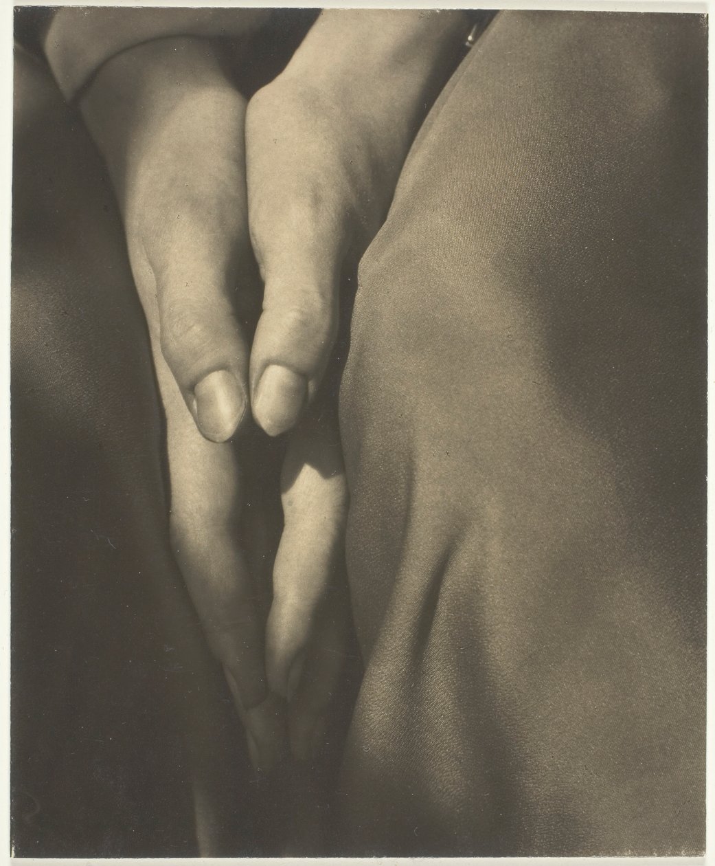 Dorothy Norman da Alfred Stieglitz