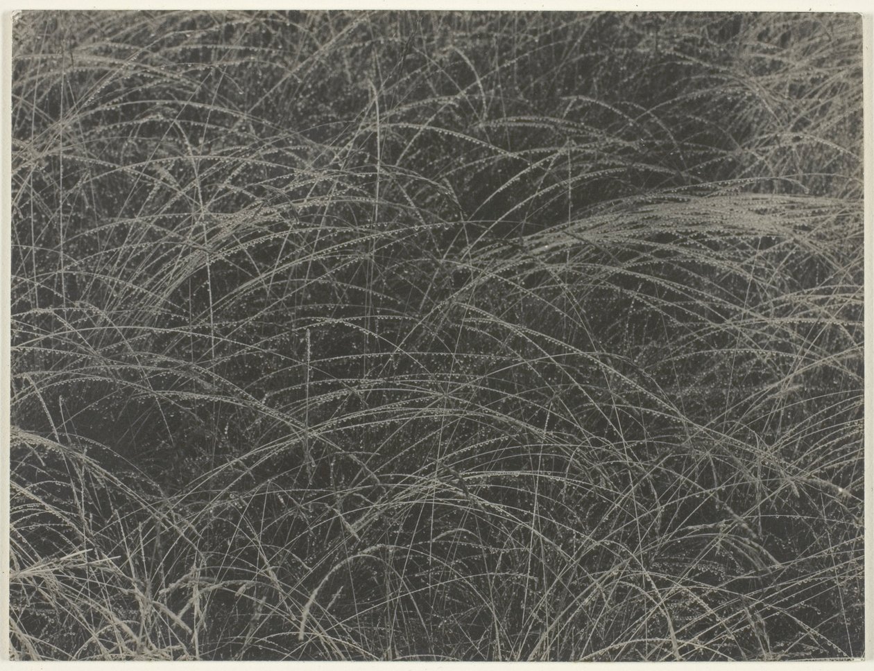 Equivalente da Alfred Stieglitz
