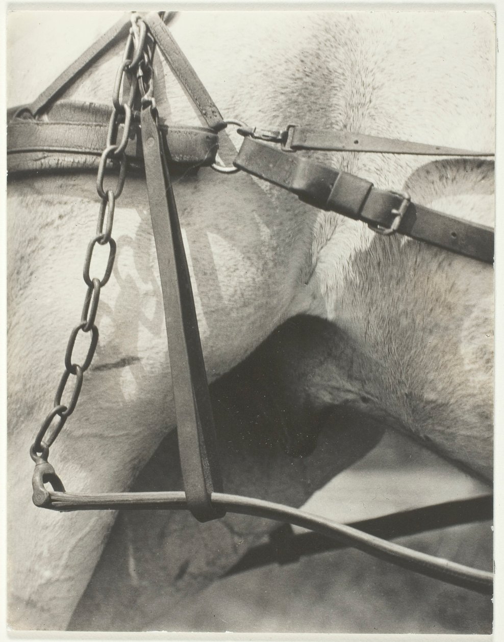 Equivalente, America Spirituale da Alfred Stieglitz