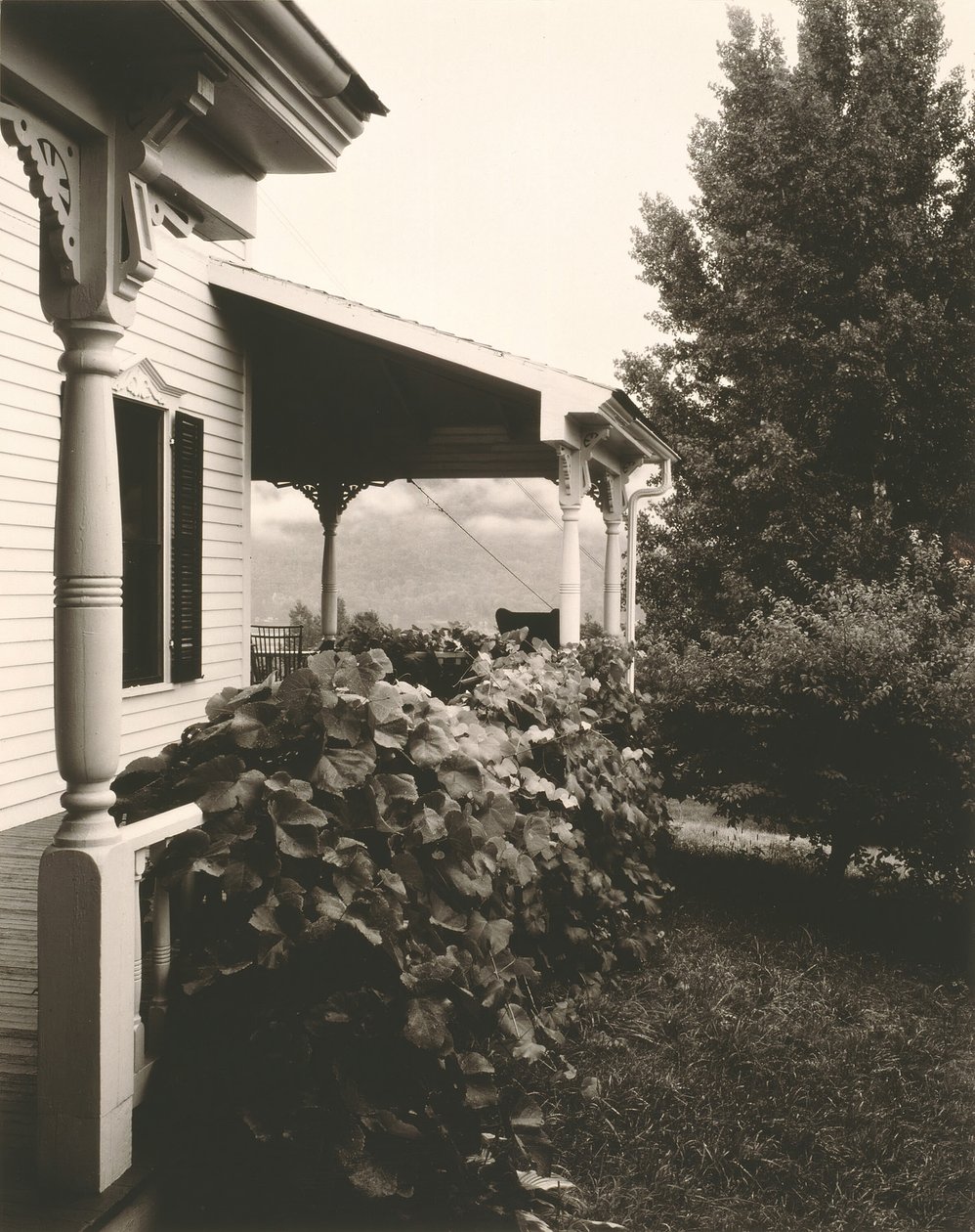 Casa e foglie di vite da Alfred Stieglitz