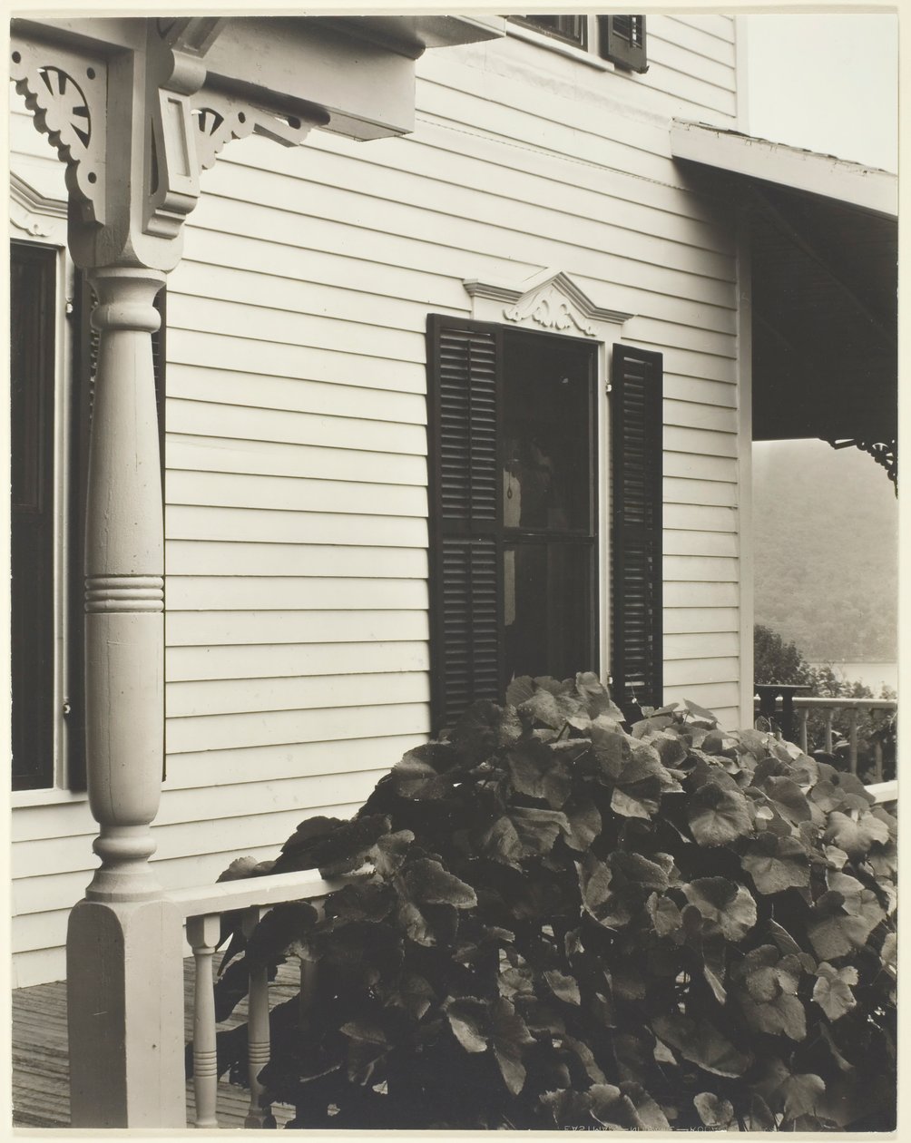 Casa e foglie di vite da Alfred Stieglitz