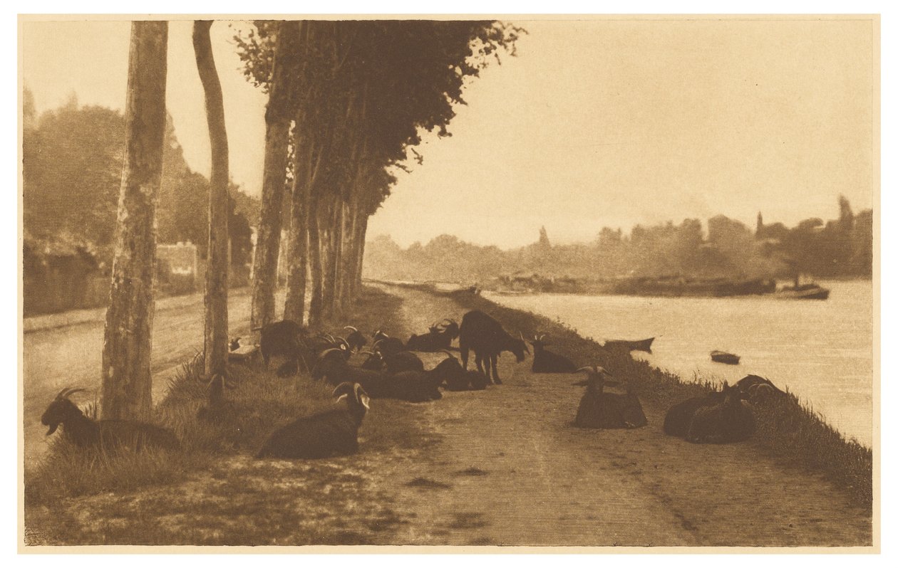 [Sulla Senna - Vicino a Parigi] da Alfred Stieglitz
