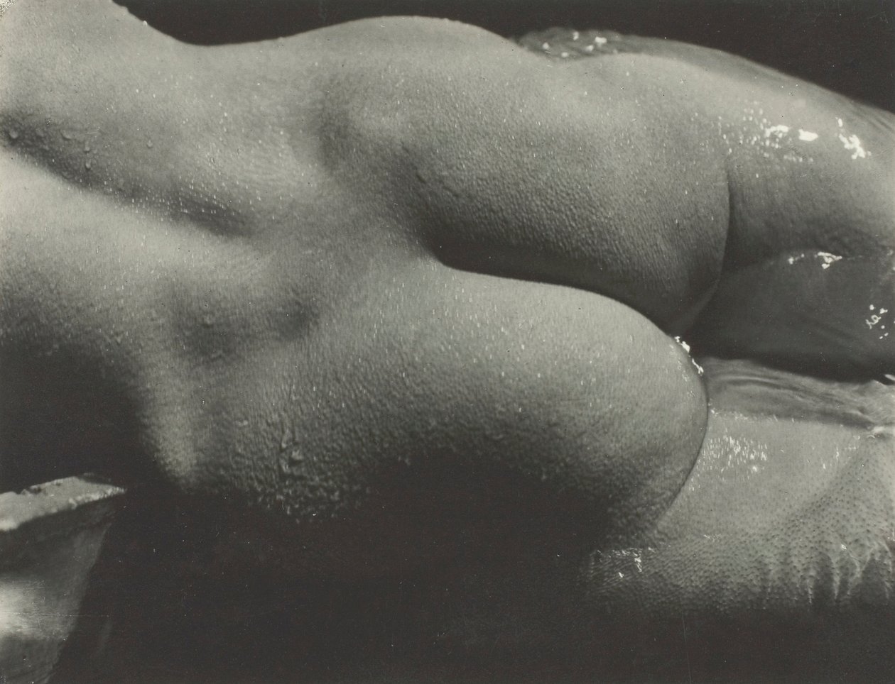 Rebecca Salsbury Strand da Alfred Stieglitz