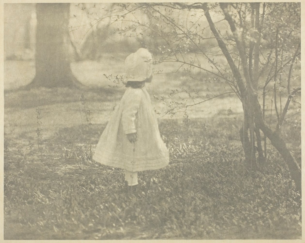 Primavera - Il bambino da Alfred Stieglitz