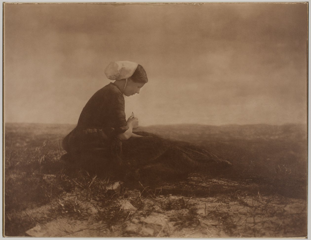 Il Render della rete da Alfred Stieglitz
