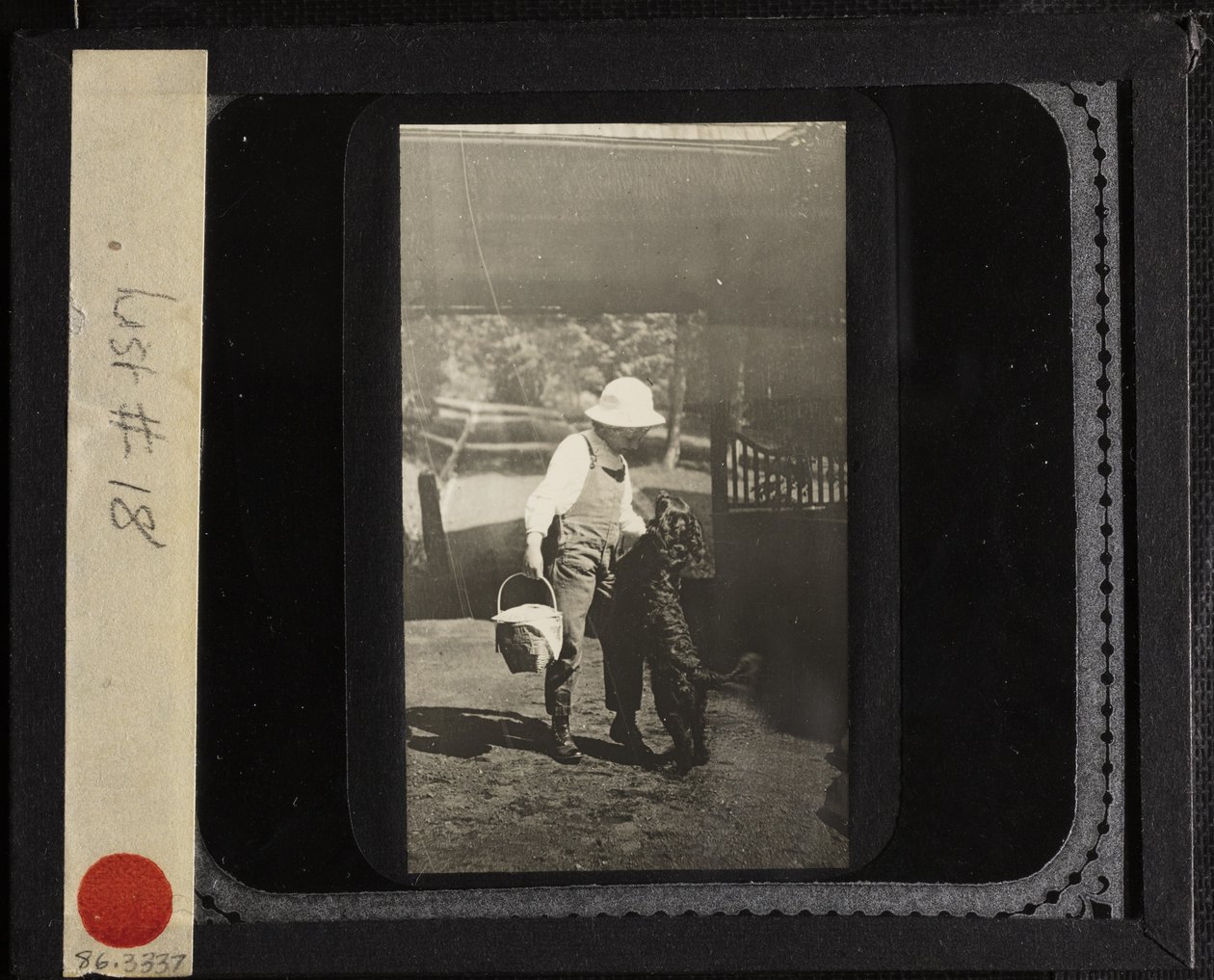 Senza titolo (La nipote Elizabeth con "Inky" a Oaklawn) da Alfred Stieglitz