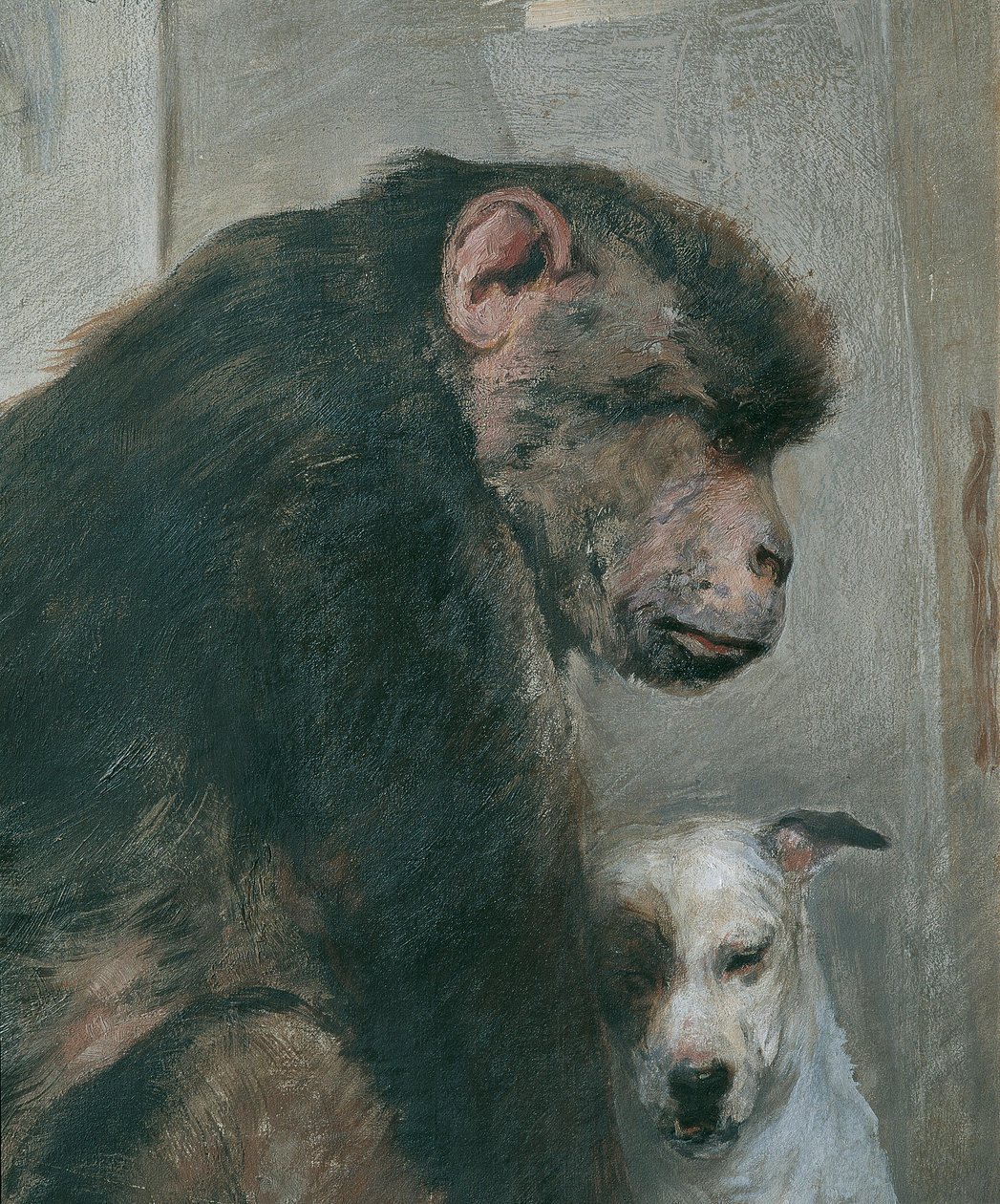 Scimmia e cane da Alfred Wesemann