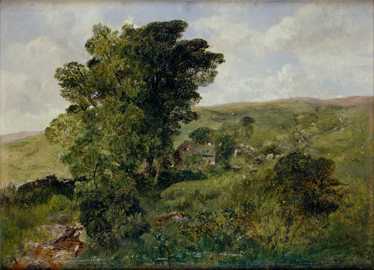 Veduta di Nantlle, Caernarvonshire da Alfred William Hunt