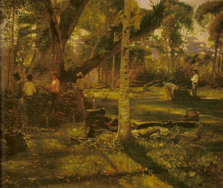 Raccolta di yerba-mate da Alfredo Andersen