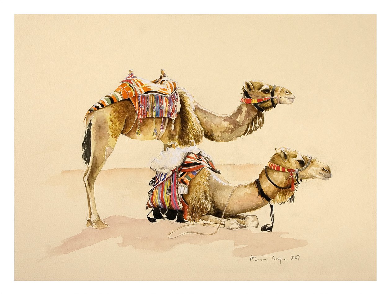 Cammelli da Petra, 2007 da Alison Cooper