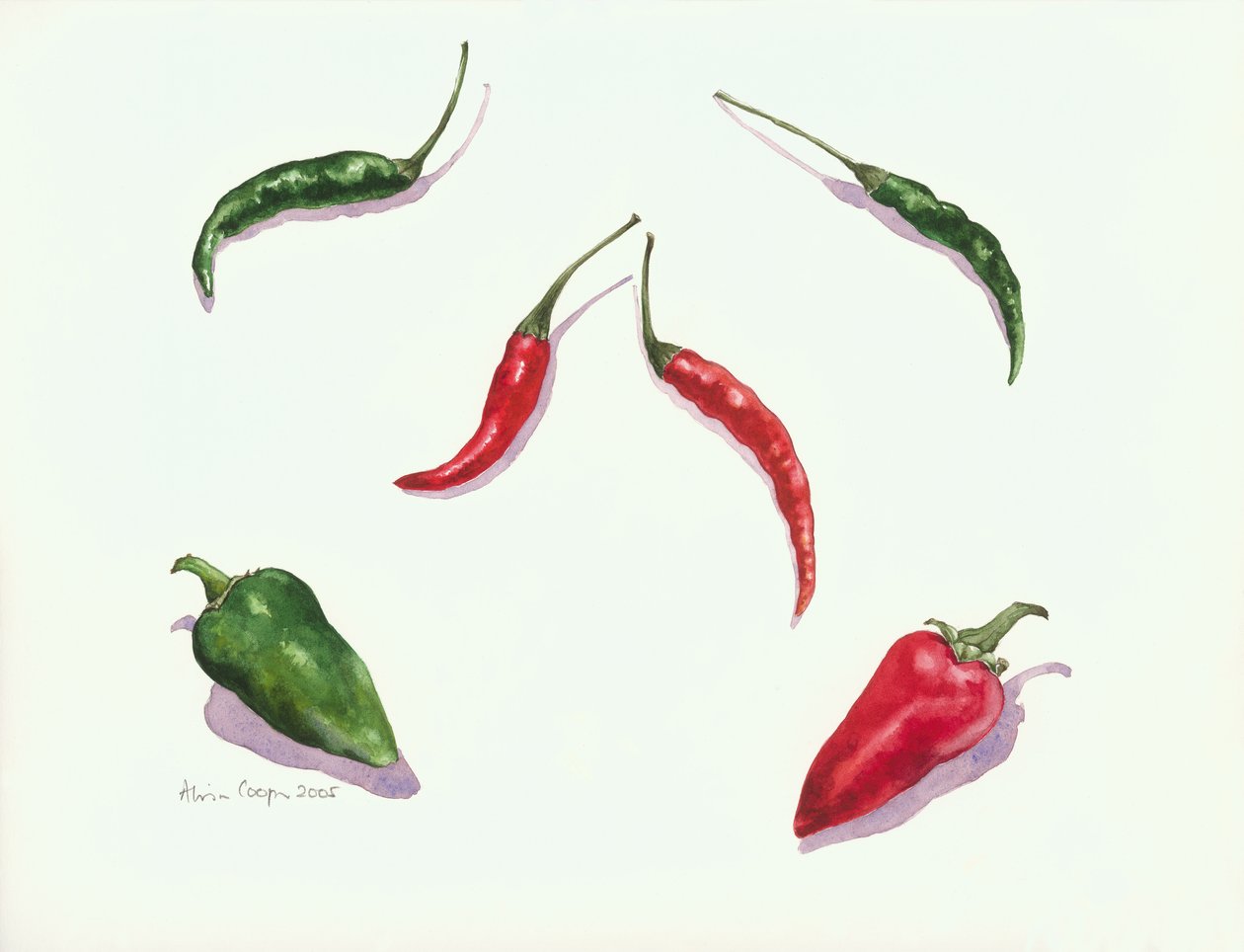 Peperoncini e peperoni, 2005 da Alison Cooper