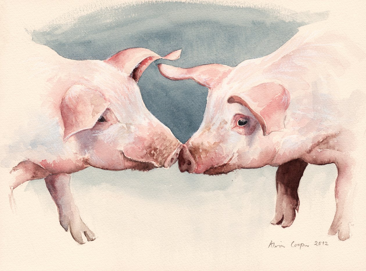Due maialini, 2012 da Alison Cooper