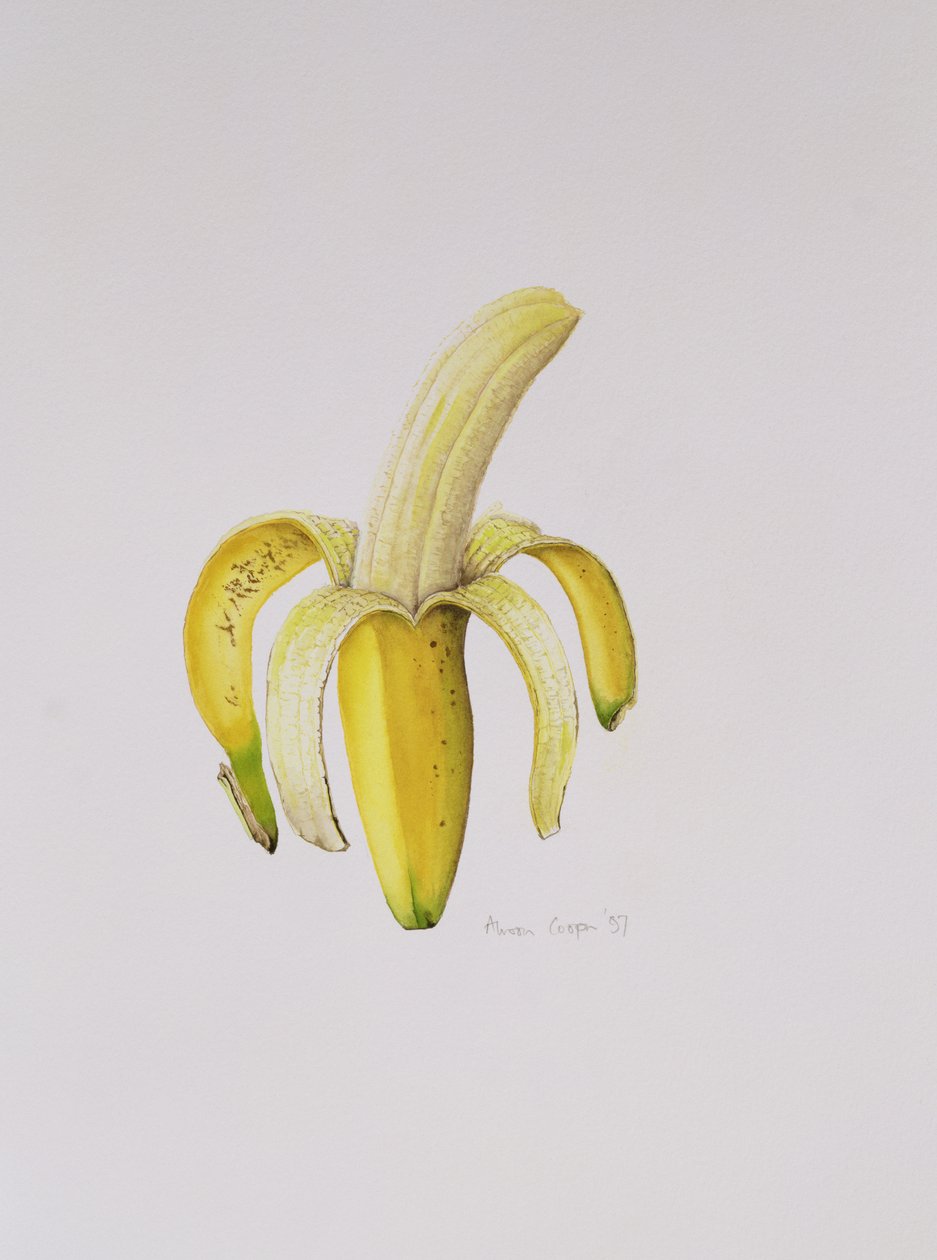 Una Banana Mezzo Sbucciata, 1997 da Alison Cooper