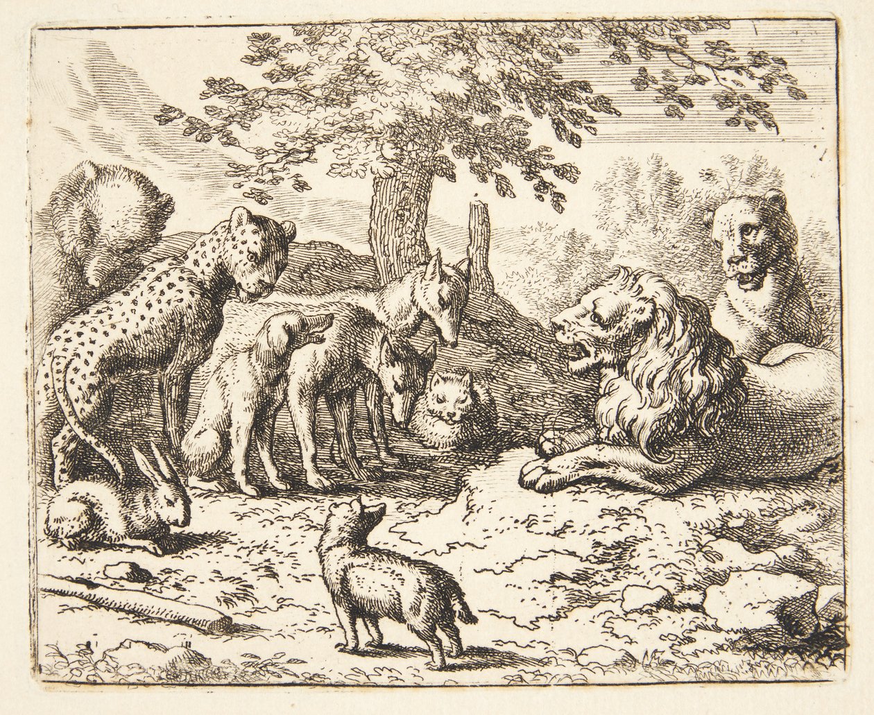 Il consiglio dei leoni da Allaert van Everdingen