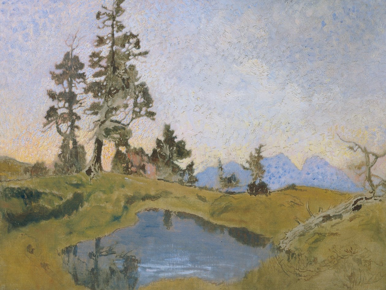 Scheiblahn con pini cembri da Alois Penz