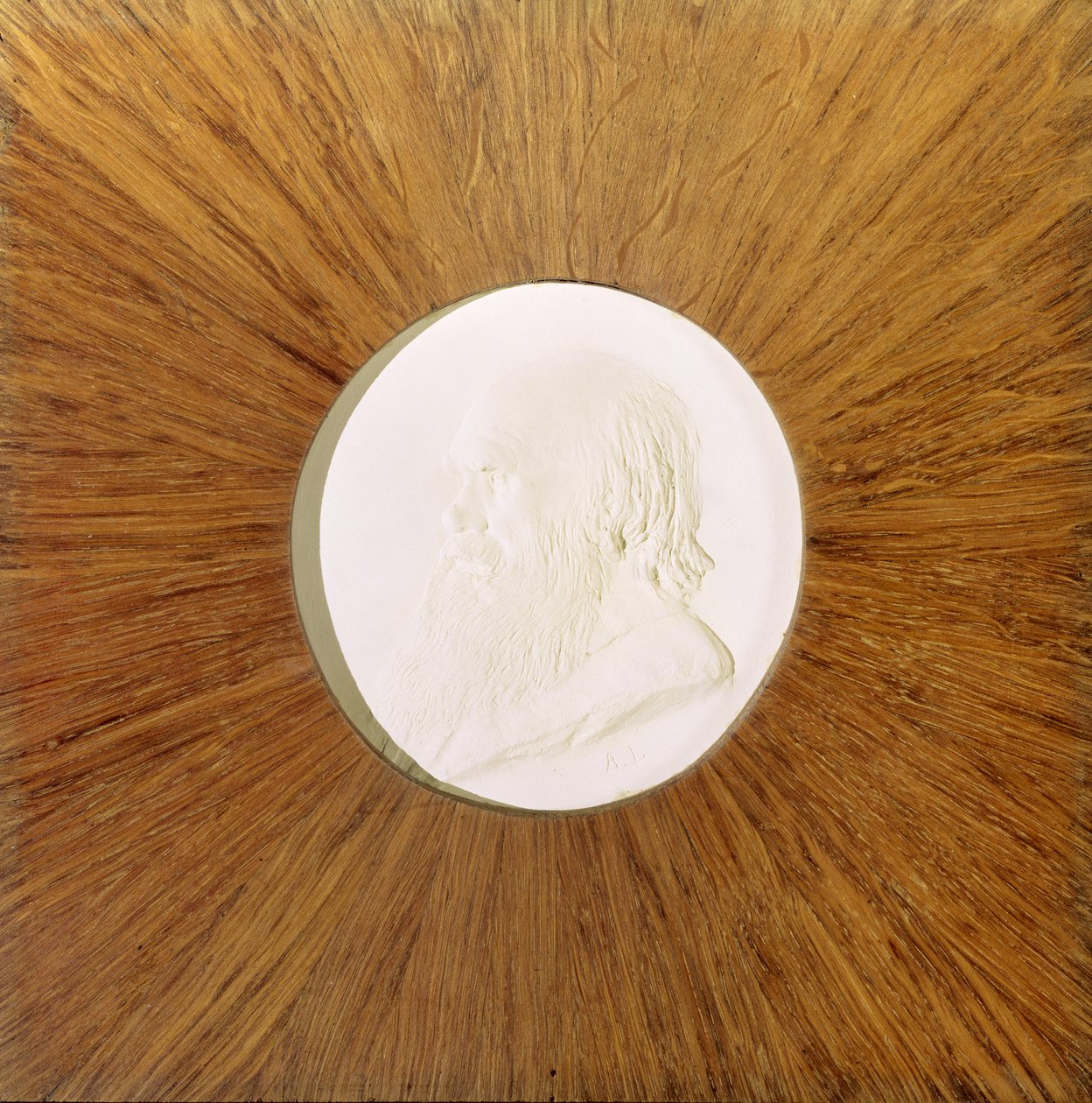 Charles Darwin (1809-82) c.1881 da Alphonse Legros