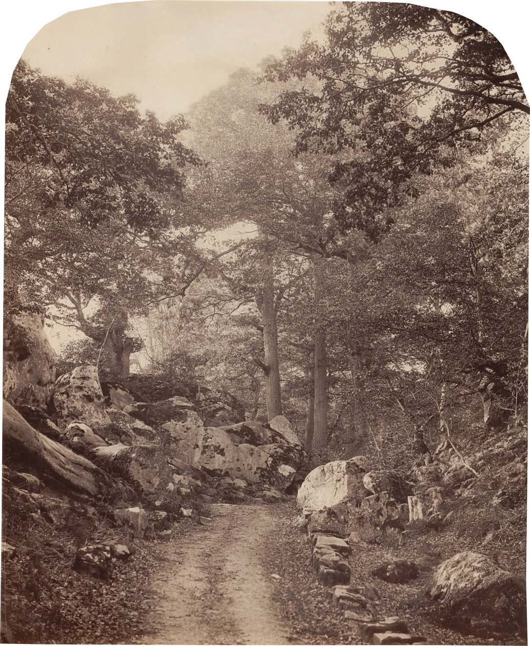 Fontainebleau da Alphonse Jeanrenaud