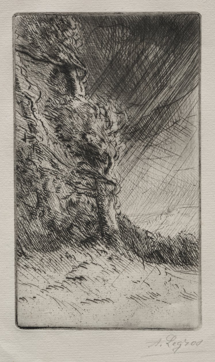 Una raffica di vento da Alphonse Legros