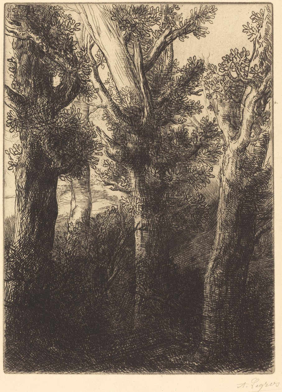 Foresta tedesca, Downley da Alphonse Legros
