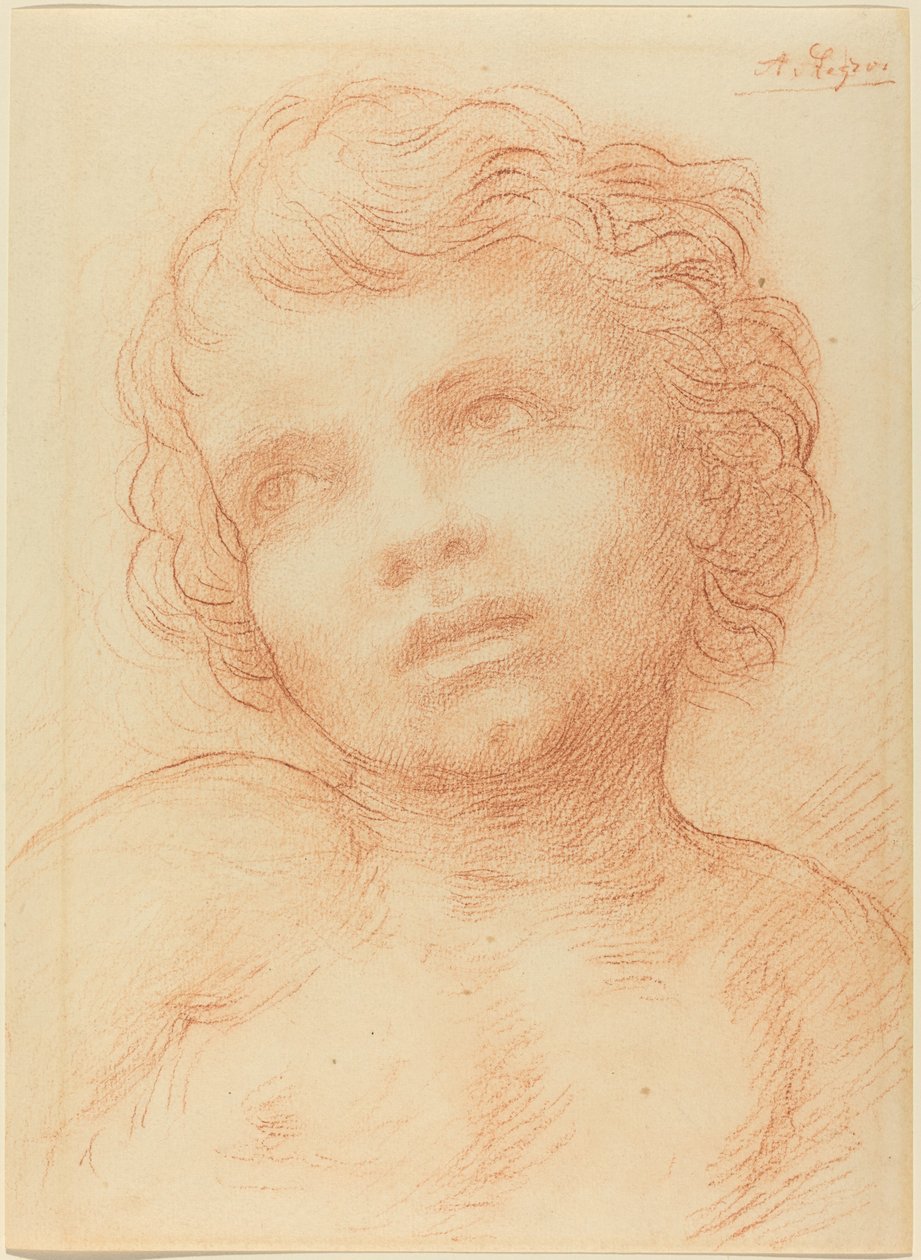 Testa di un Bambino da Alphonse Legros