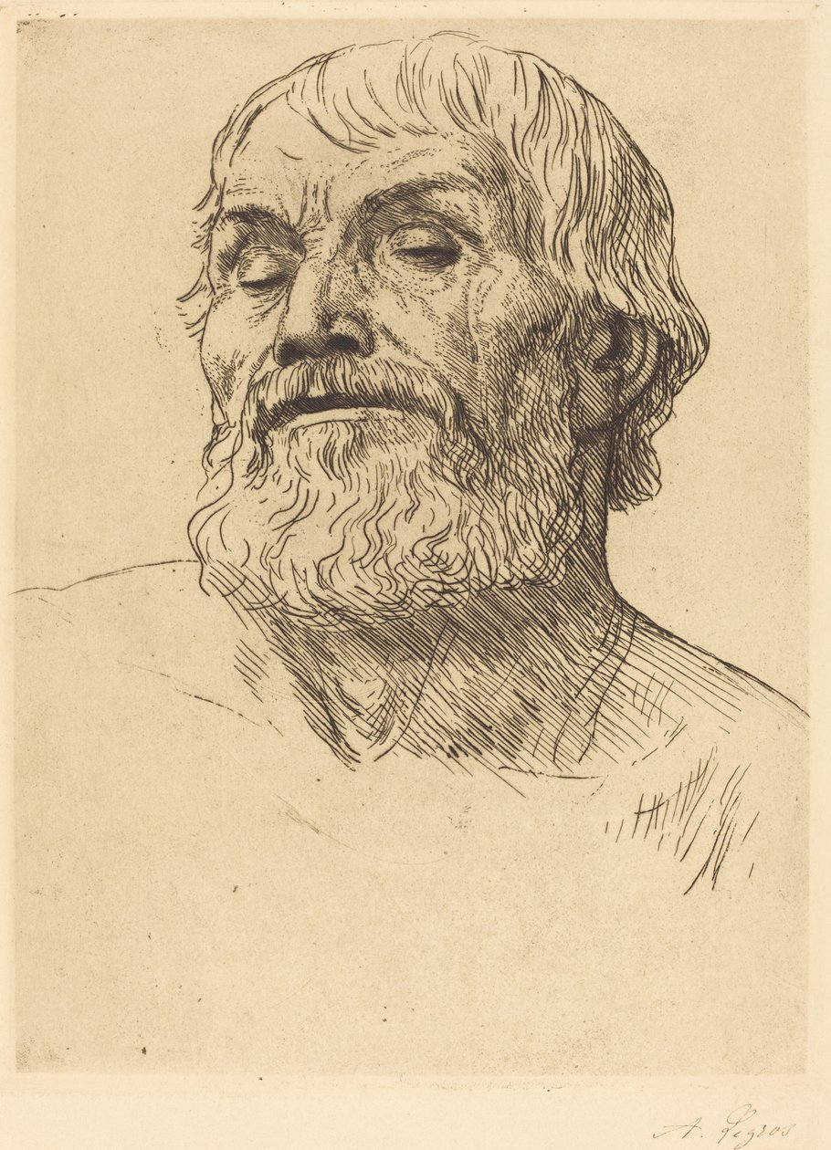 Testa di un Uomo (Tête d