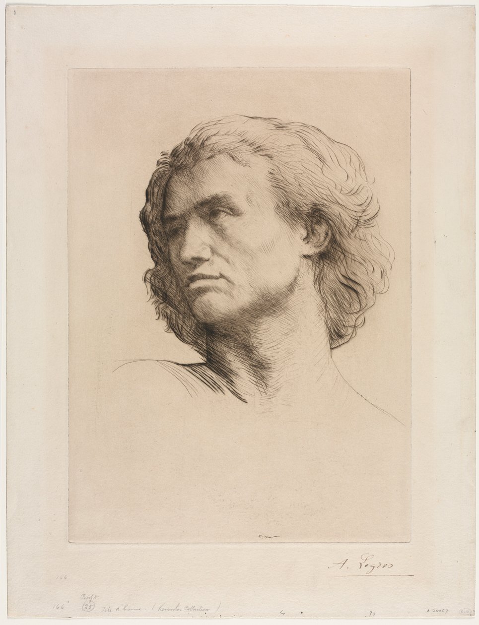 Testa di un Uomo da Alphonse Legros