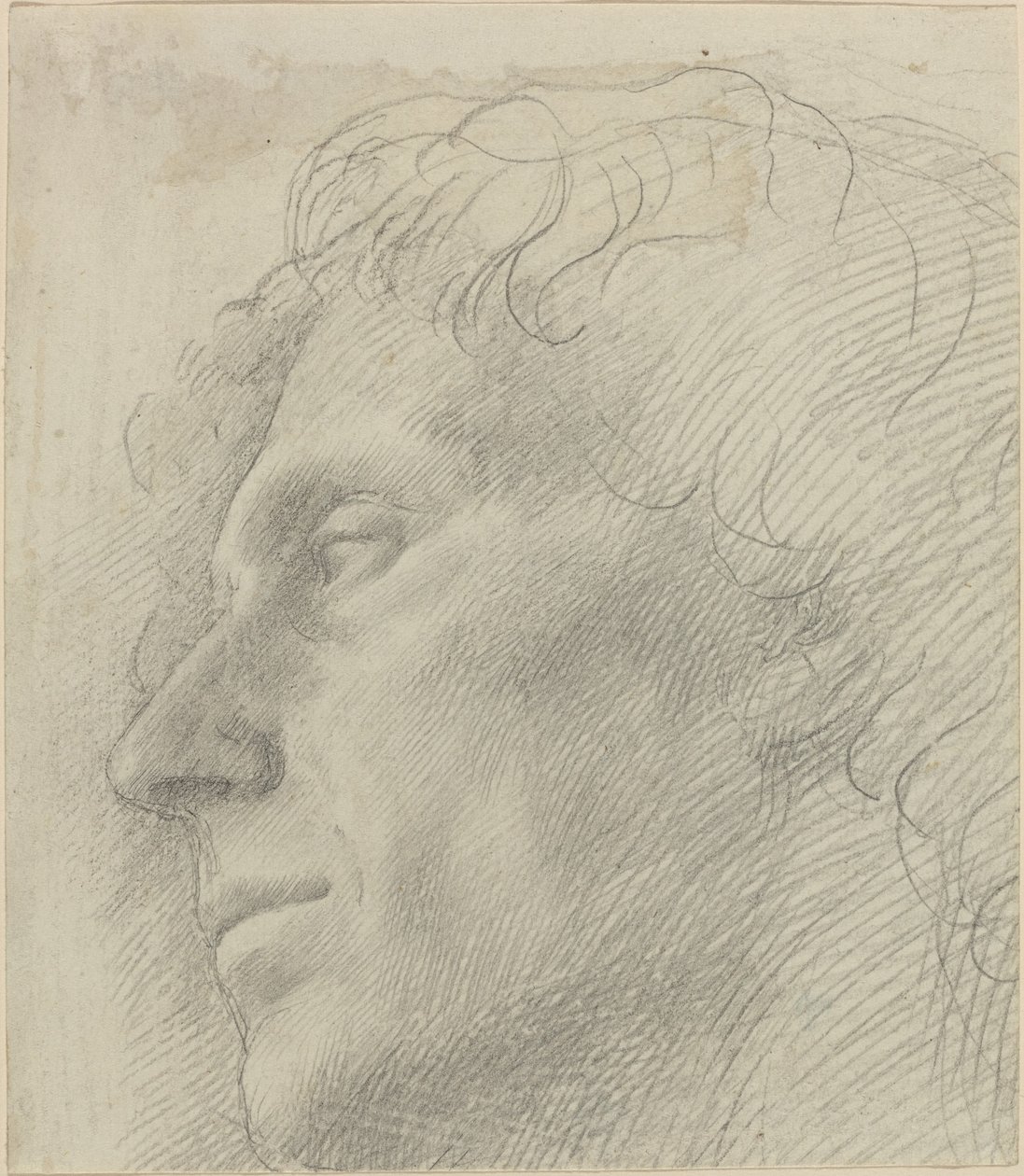 Testa di un Uomo Rivolta a Sinistra da Alphonse Legros