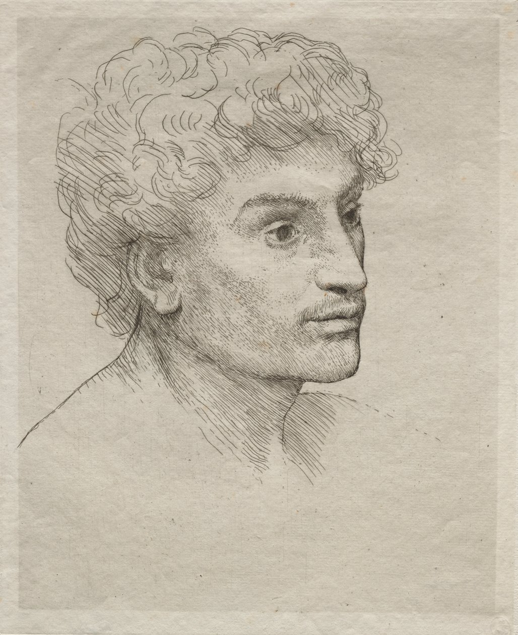 Testa di un giovane uomo da Alphonse Legros