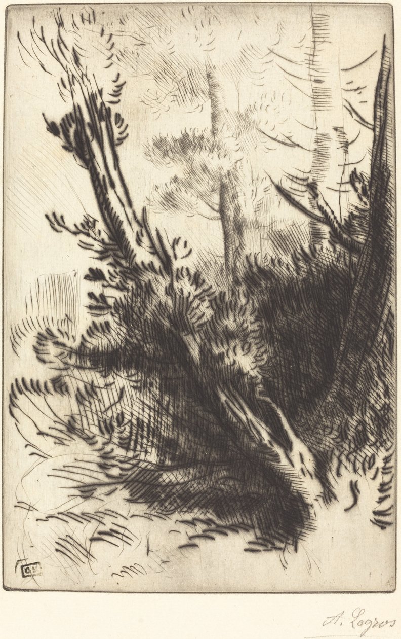 Nel bosco da Alphonse Legros
