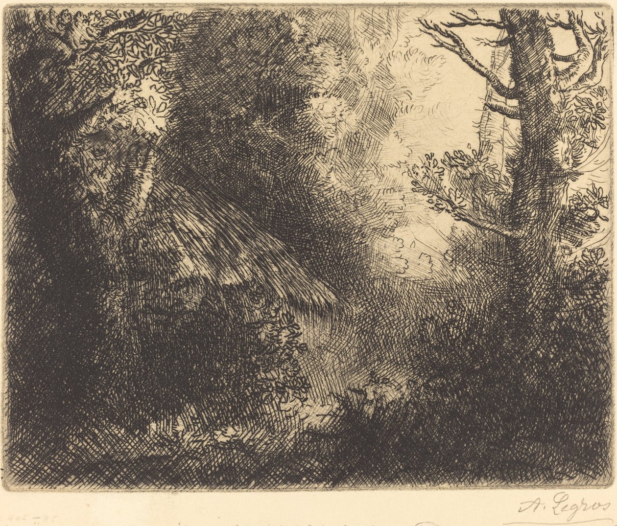 Paesaggio: Vicino a Chailleux (Paysage: Pres Chailleux) da Alphonse Legros