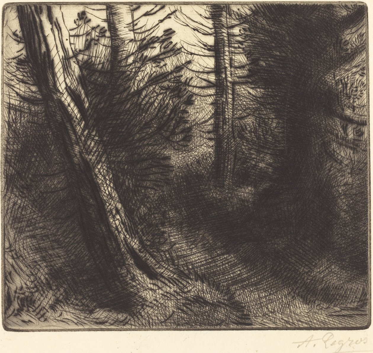 Sentiero nel bosco da Alphonse Legros