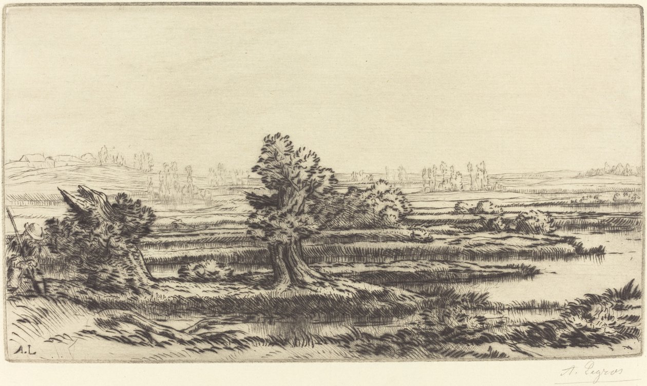 Torbiere (Les Tourbières) da Alphonse Legros